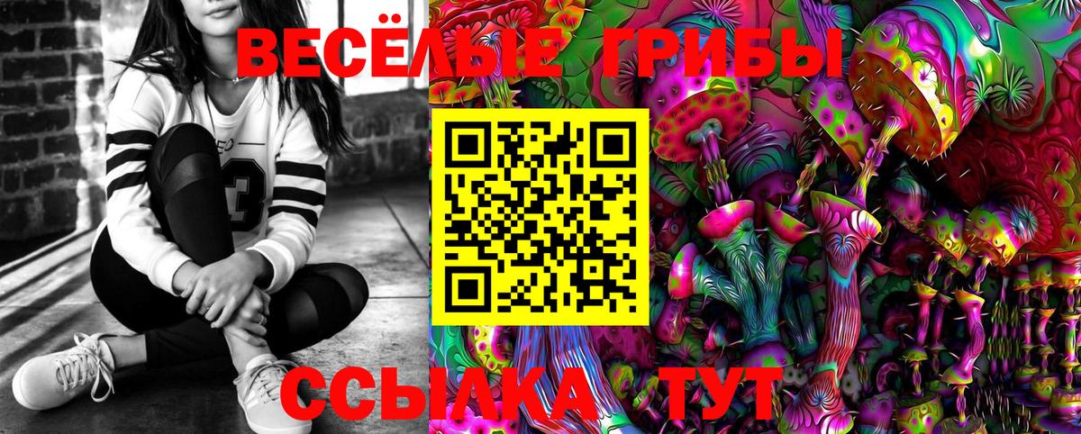 Псилоцибиновые грибы Psilocybine cubensis Электросталь
