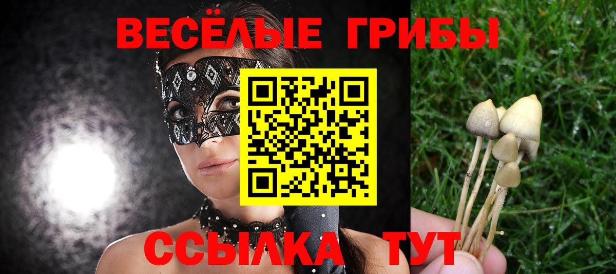 Псилоцибиновые грибы мицелий  Вход с VPN  Электросталь 